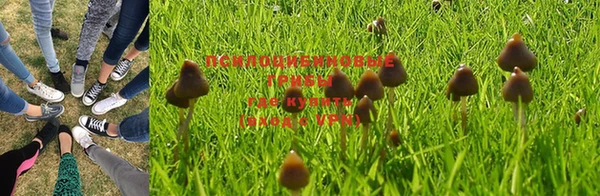 ГАЛЛЮЦИНОГЕННЫЕ ГРИБЫ Алексеевка