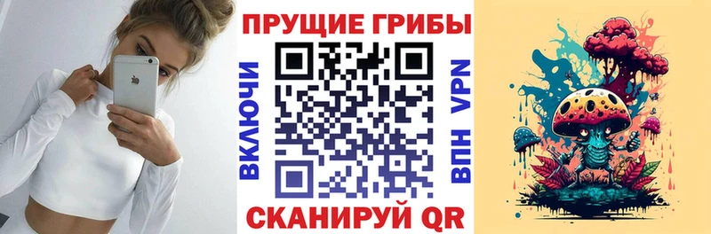 shop наркотические препараты  mega ТОР  Обнинск  магазин  наркотиков  Галлюциногенные грибы мицелий 
