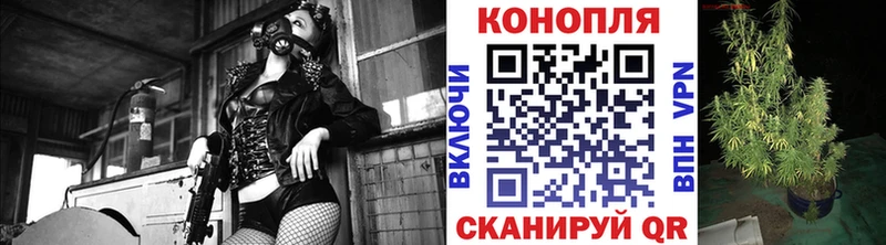 Конопля Ganja  Обнинск 